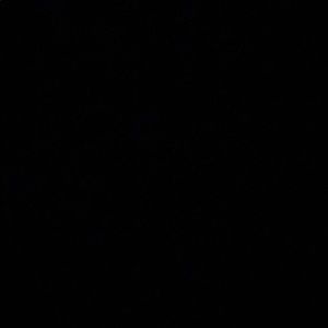 Meet your Posher, Charles